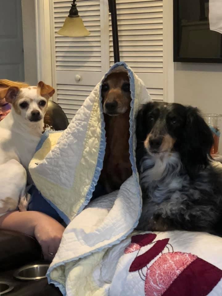 Trio